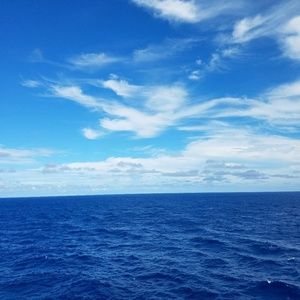 Meet your Posher, Stanley